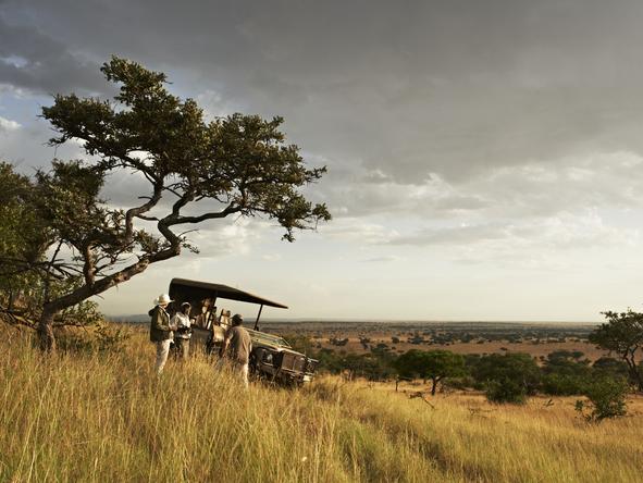 Singita Explore - Game Drive 